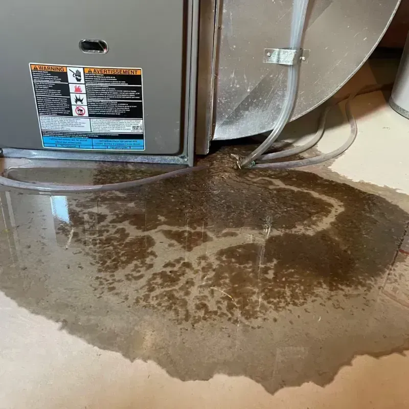 Appliance Leak Cleanup in Wood Dale, IL